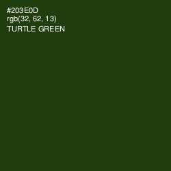 #203E0D - Turtle Green Color Image
